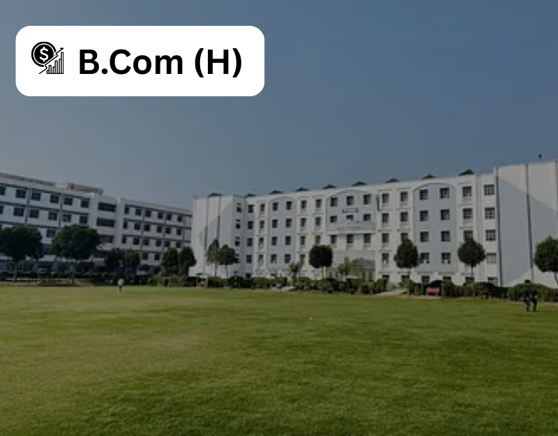 B.Com (Hons) LINGAYA'S VIDYAPEETH