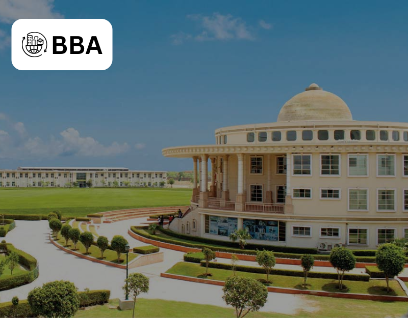 BBA NIU