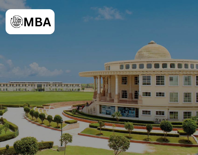 MBA NIU