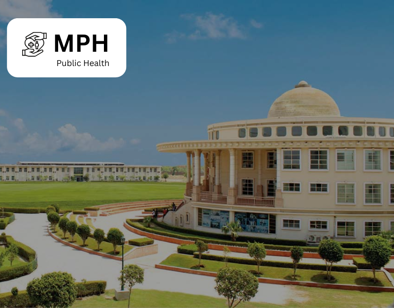  Master of Public Health (MPH) NIU