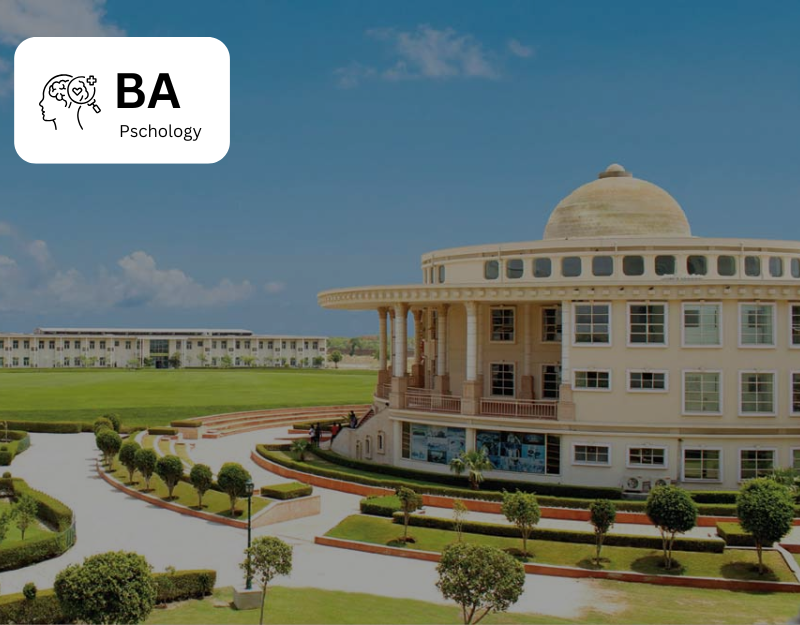 B.A. (Psychology) NIU