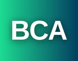 BCA (SANSKRITI UNIVERSITY)